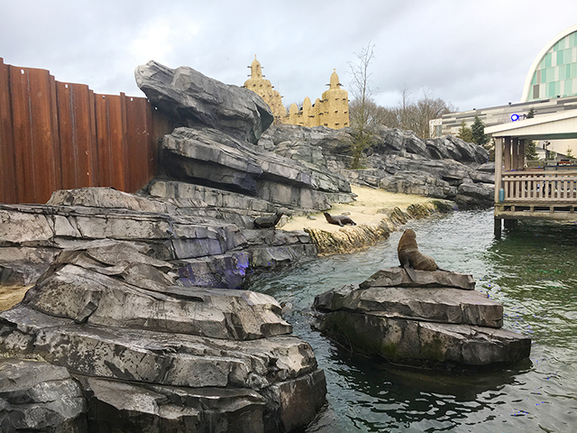 emmen zoo enclosure.jpg