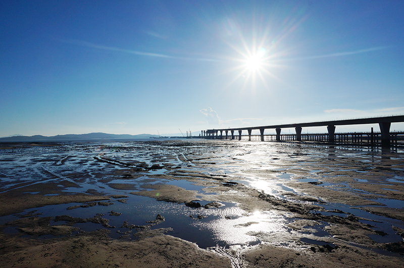 Kinmen bridge construction recommences with ICE 250NF